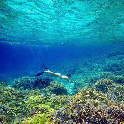 HALF DAY - Snorkeling Adventure (from Khao Lak)