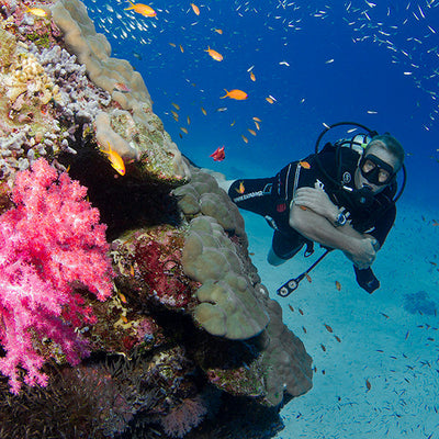 LIVEABOARD - 4 days/ 3 nights - M/V BAVARIA - Similan Islands (max 10 dives)